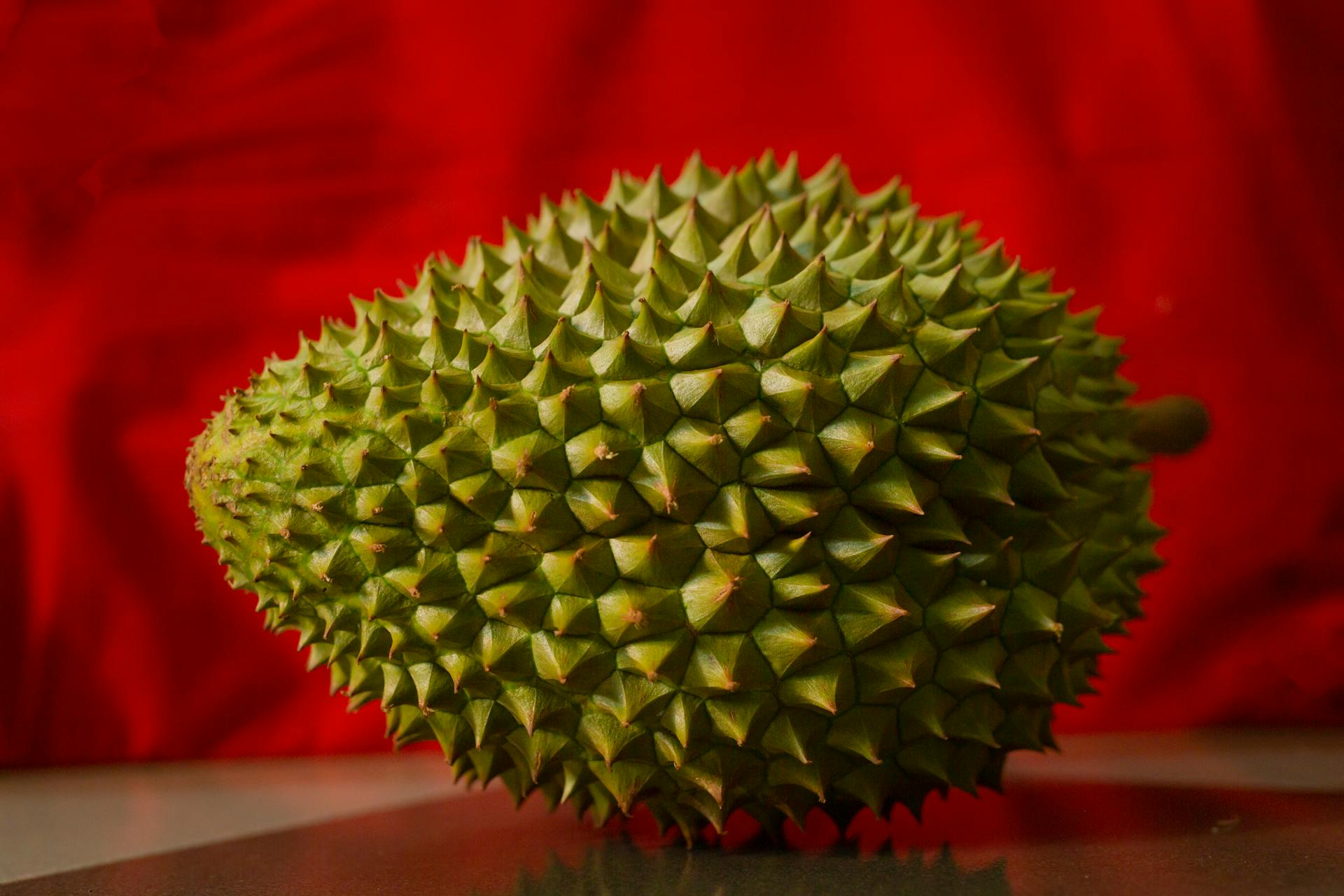 Durian Illustration